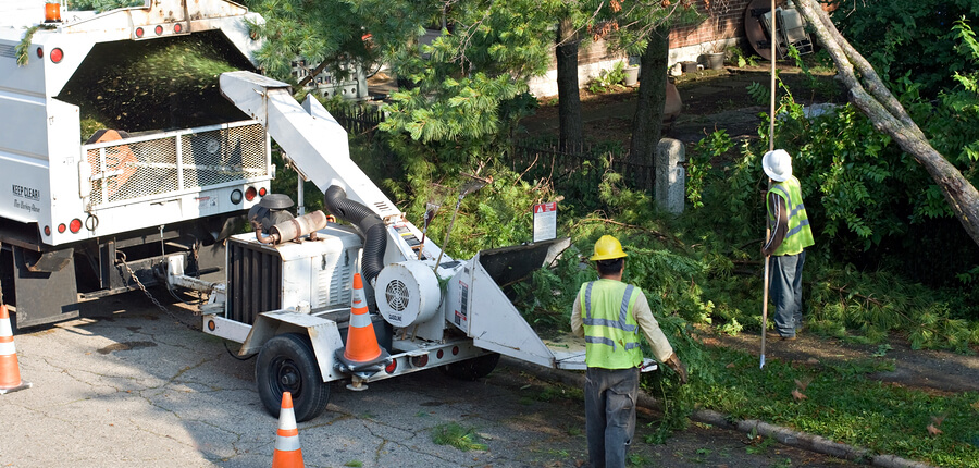 Arborist & Tree Trimming Services Insurance in Dallas, TX Arborist & Tree Trimming Services Insurance in Dallas, TX
