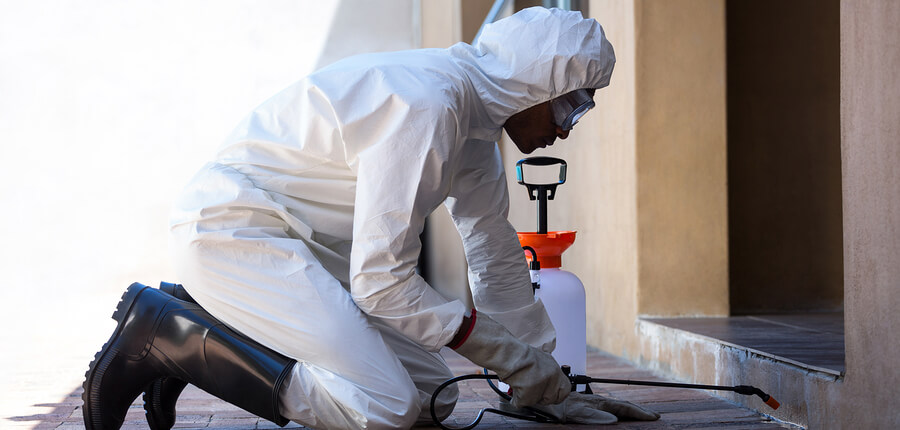 Pest Control Exterminator Insurance in Dallas, Texas